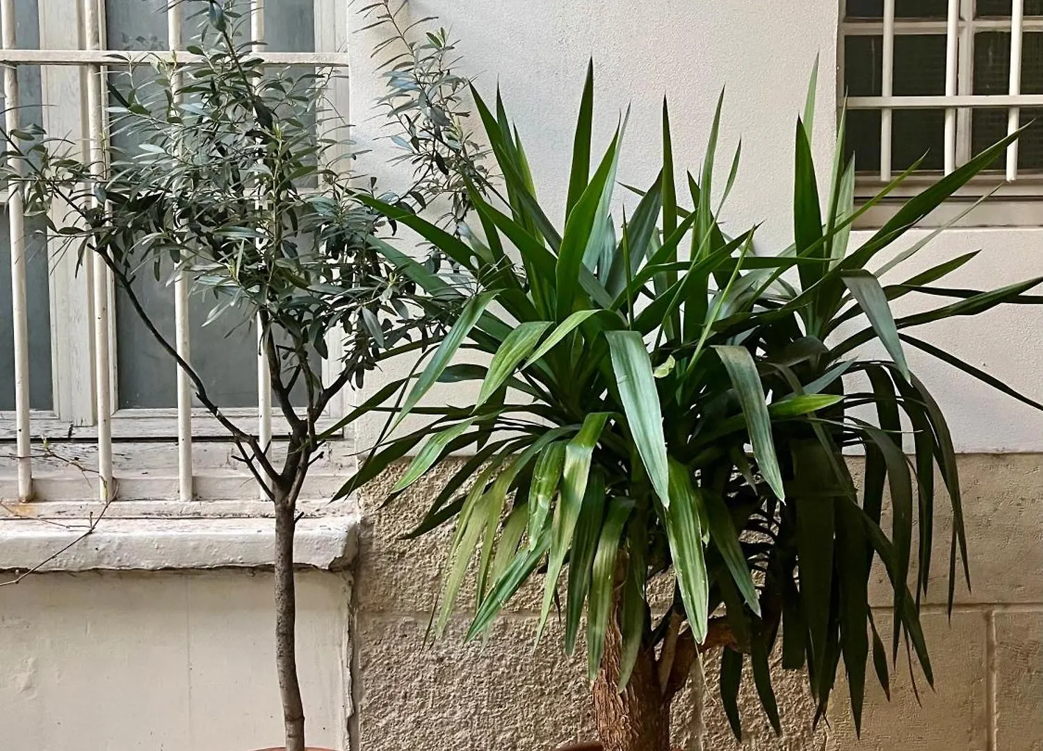 شقة Jardin Des Plantes باريس 0*,